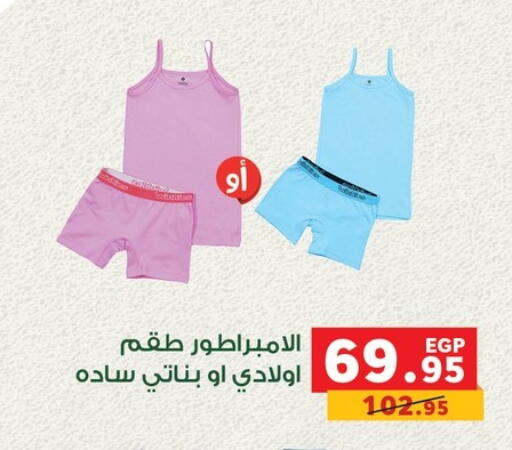 available at Panda  in Egypt - Cairo