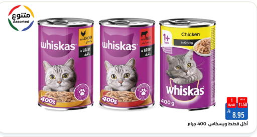 available at شبرا الطائف in مملكة العربية السعودية, السعودية, سعودية - الطائف