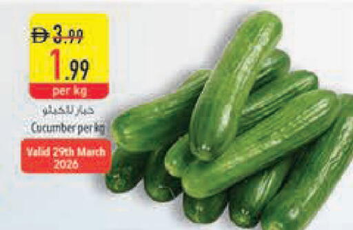Cucumber available at السفير ماركت in الإمارات العربية المتحدة , الامارات - أبو ظبي