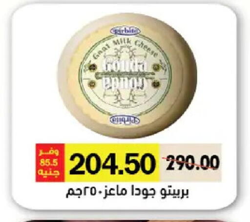 available at Royal House in Egypt - Cairo