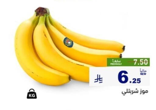 available at أسواق رامز in مملكة العربية السعودية, السعودية, سعودية - تبوك