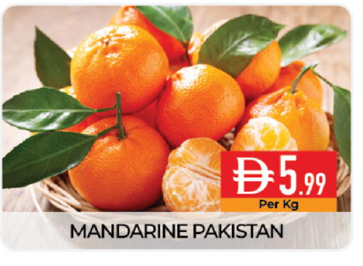 from Pakistan available at ديلايس سوبرماركت in الإمارات العربية المتحدة , الامارات - أبو ظبي