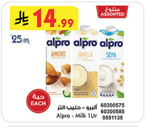 Vanilla available at Bin Dawood in KSA, Saudi Arabia, Saudi - Medina