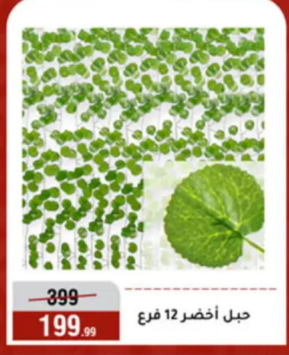 available at المرشدي in Egypt - القاهرة