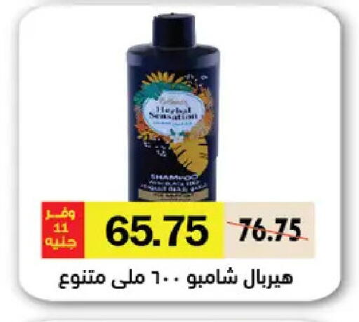 available at Royal House in Egypt - Cairo