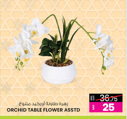 available at أنصار جاليري in قطر - الريان