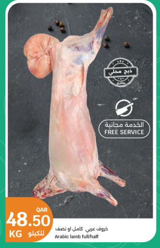 available at City Hypermarket in Qatar - Al Shamal