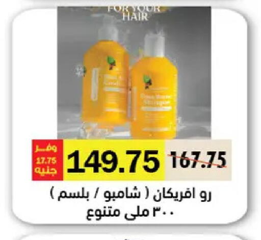 available at Royal House in Egypt - Cairo