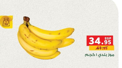 available at بنده in Egypt - القاهرة