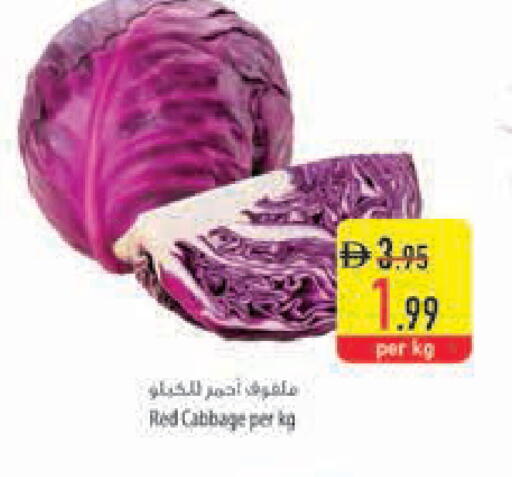 Cabbage available at السفير ماركت in الإمارات العربية المتحدة , الامارات - أبو ظبي