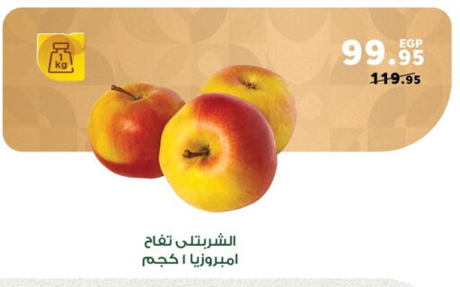 available at بنده in Egypt - القاهرة