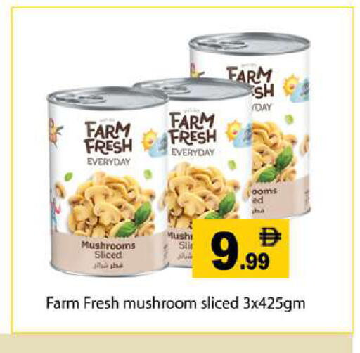 Mushroom available at Gulf Hypermarket LLC in UAE - Ras al Khaimah