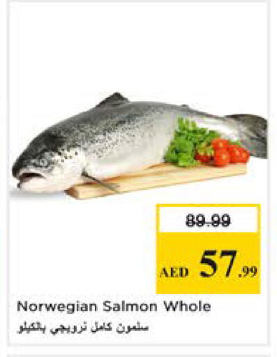 available at نستو هايبرماركت in الإمارات العربية المتحدة , الامارات - دبي