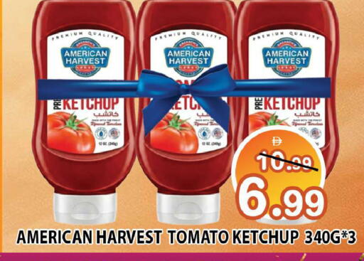 Tomato available at Leptis Hypermarket  in UAE - Ras al Khaimah