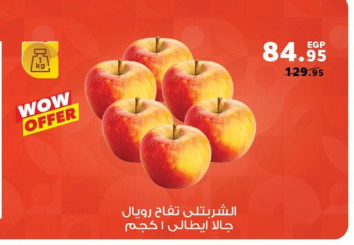 available at بنده in Egypt - القاهرة