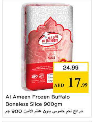 available at نستو هايبرماركت in الإمارات العربية المتحدة , الامارات - الشارقة / عجمان