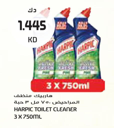 available at جراند كوستو in الكويت - مدينة الكويت