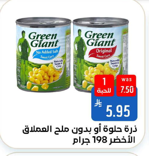 available at Shubra AlTaif in KSA, Saudi Arabia, Saudi - Ta'if