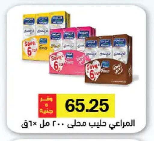 available at Royal House in Egypt - Cairo