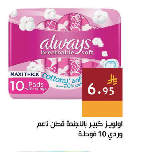 available at اسواق هلا in مملكة العربية السعودية, السعودية, سعودية - جدة