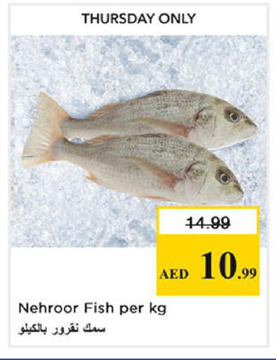 available at Nesto Hypermarket in UAE - Fujairah