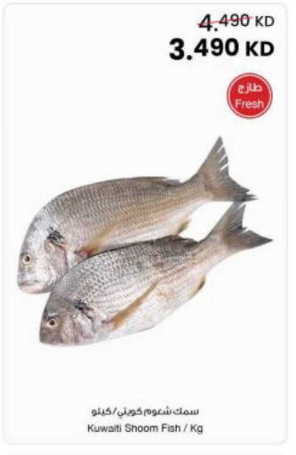 available at The Sultan Center in Kuwait - Kuwait City