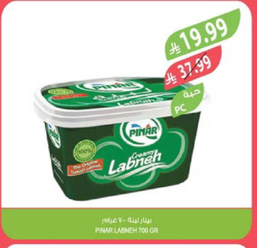 available at Farm  in KSA, Saudi Arabia, Saudi - Tabuk