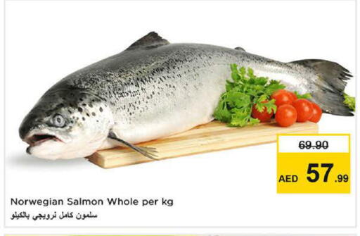 available at نستو هايبرماركت in الإمارات العربية المتحدة , الامارات - دبي