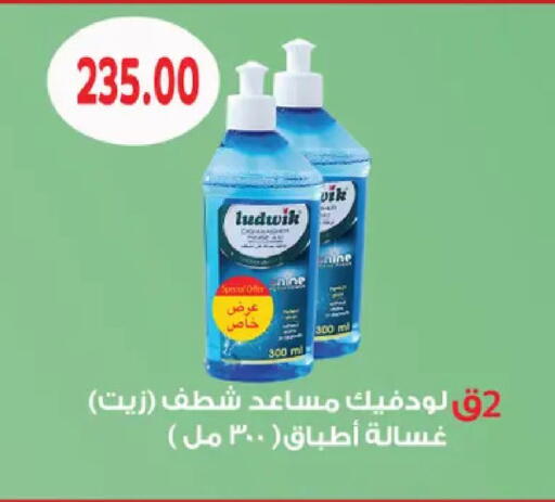 available at Royal House in Egypt - Cairo