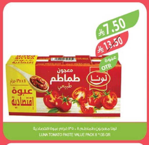 Tomato available at Farm  in KSA, Saudi Arabia, Saudi - Sakaka