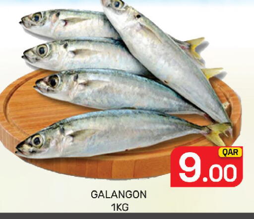 available at Majlis Hypermarket in Qatar - Doha