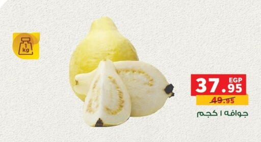 available at Panda  in Egypt - Cairo