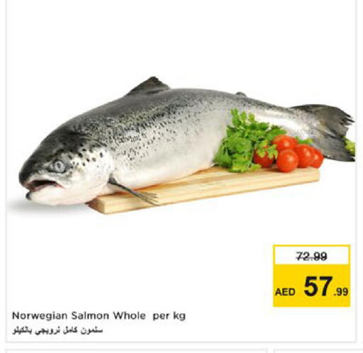 available at Nesto Hypermarket in UAE - Ras al Khaimah