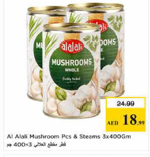 Mushroom available at Last Chance  in UAE - Fujairah