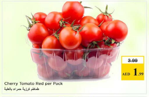 Cherry Cherry tomato available at Nesto Hypermarket in UAE - Sharjah / Ajman