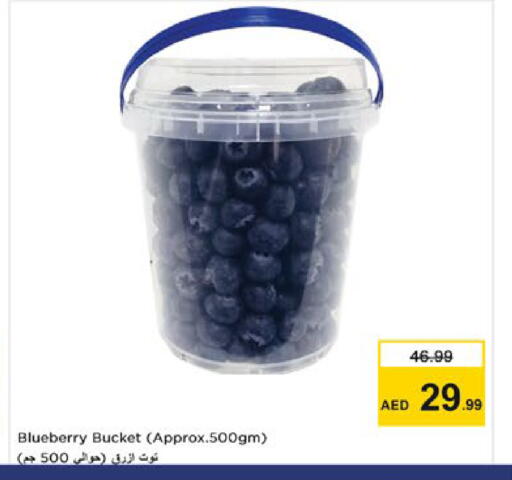 Blueberry BlueBerry available at Nesto Hypermarket in UAE - Ras al Khaimah