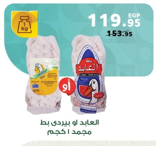 available at بنده in Egypt - القاهرة