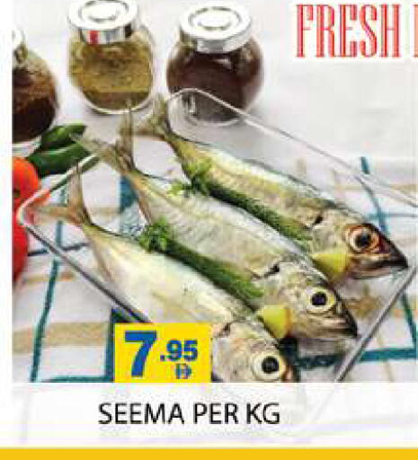 available at Zain Mart Supermarket in UAE - Ras al Khaimah