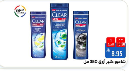 Mint available at Shubra AlTaif in KSA, Saudi Arabia, Saudi - Ta'if