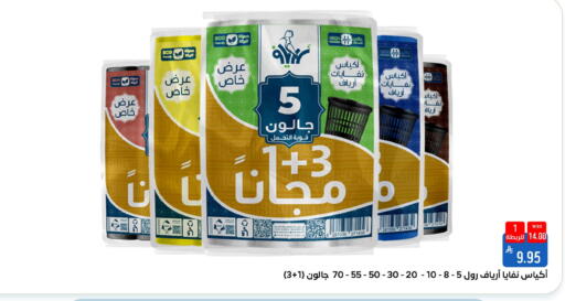 available at شبرا الطائف in مملكة العربية السعودية, السعودية, سعودية - الطائف