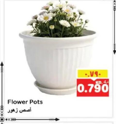 available at Nesto Hypermarkets in Kuwait - Kuwait City