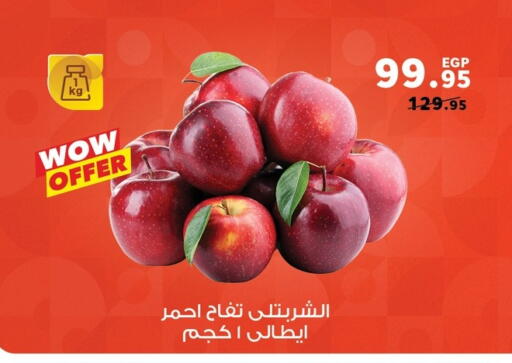 available at بنده in Egypt - القاهرة