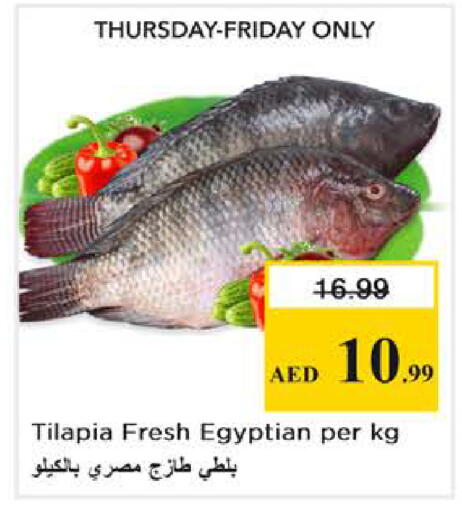 available at Nesto Hypermarket in UAE - Abu Dhabi