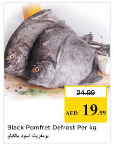 available at نستو هايبرماركت in الإمارات العربية المتحدة , الامارات - الشارقة / عجمان