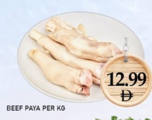 available at متجر الهدايا الخضراء in الإمارات العربية المتحدة , الامارات - أبو ظبي