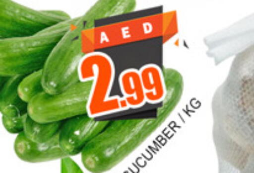 Cucumber available at لكي سنتر in الإمارات العربية المتحدة , الامارات - الشارقة / عجمان