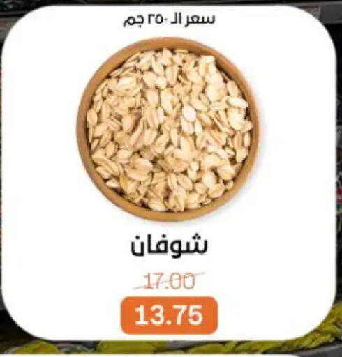 available at بيت الجملة in Egypt - القاهرة