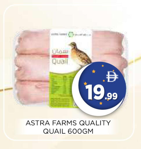 available at Ain Al Madina Hypermarket in UAE - Sharjah / Ajman