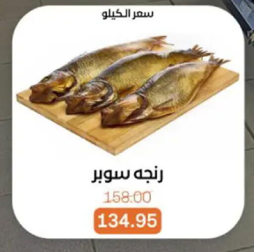 available at بيت الجملة in Egypt - القاهرة
