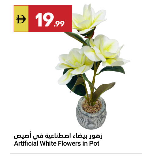 available at جراند الإمارات للتسوق in الإمارات العربية المتحدة , الامارات - أبو ظبي